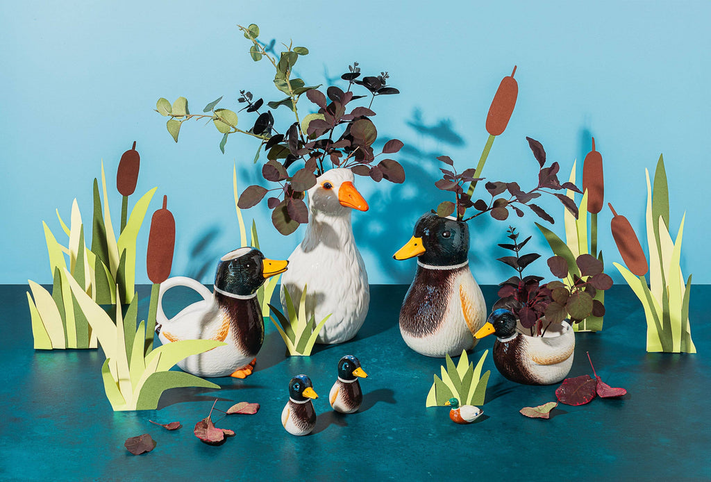 Salt and pepper Mallard duck