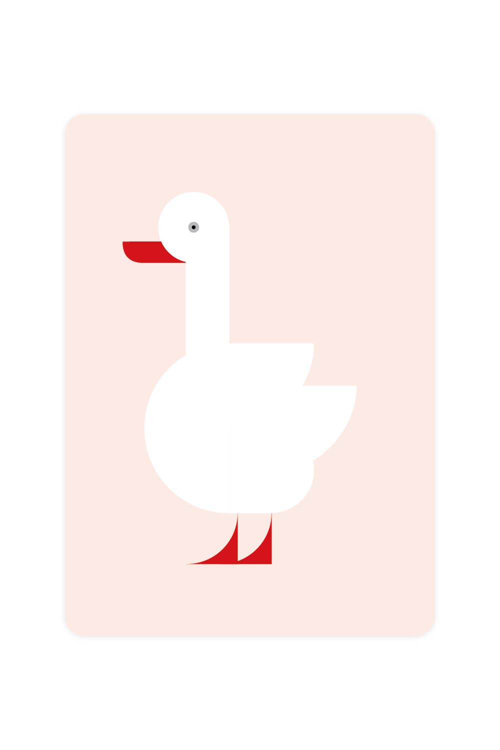 Carte postale avec cygne Coscoroba