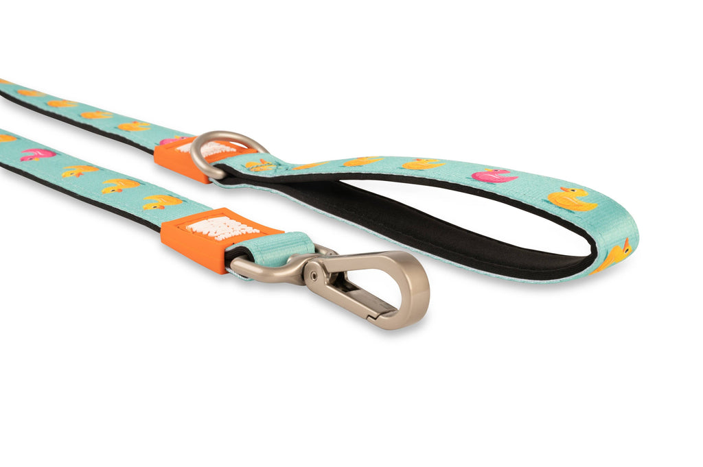 Keep it Short – Ducks