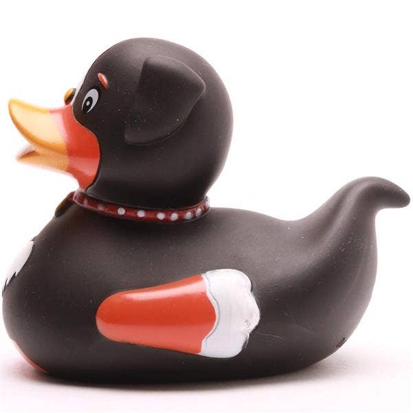 Canard Chien