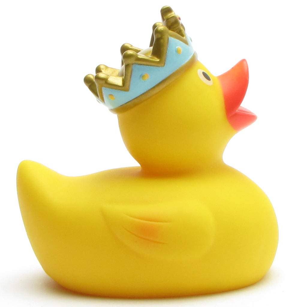 Canard Roi
