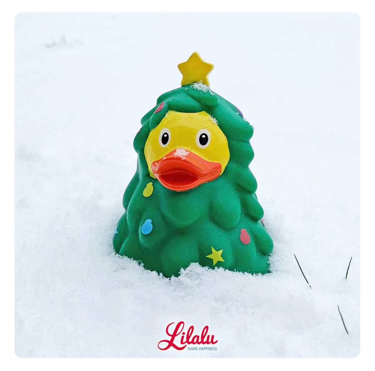 Canard Sapin de Noël – visuel produit