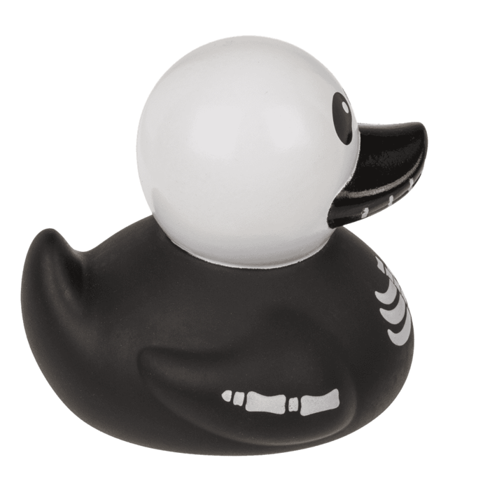 Skelett-Ente