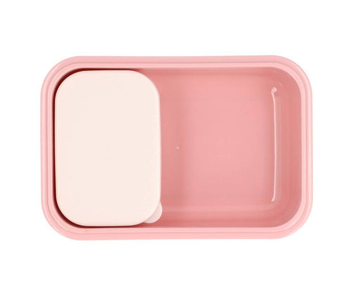 Bento-Lunchbox Insekten