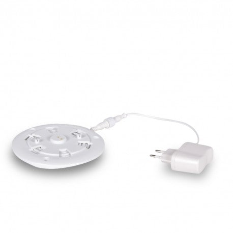Lampe Canard DUCK-DUCK [XL]