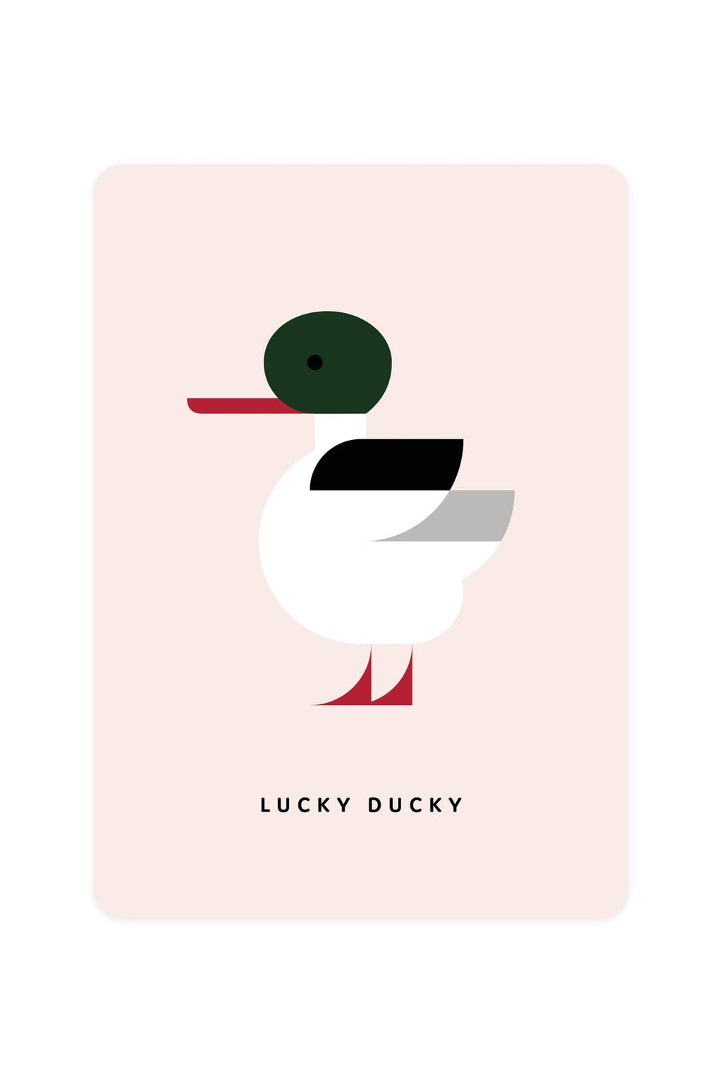 Postkarte mit Eiderente - Lucky Ducky
