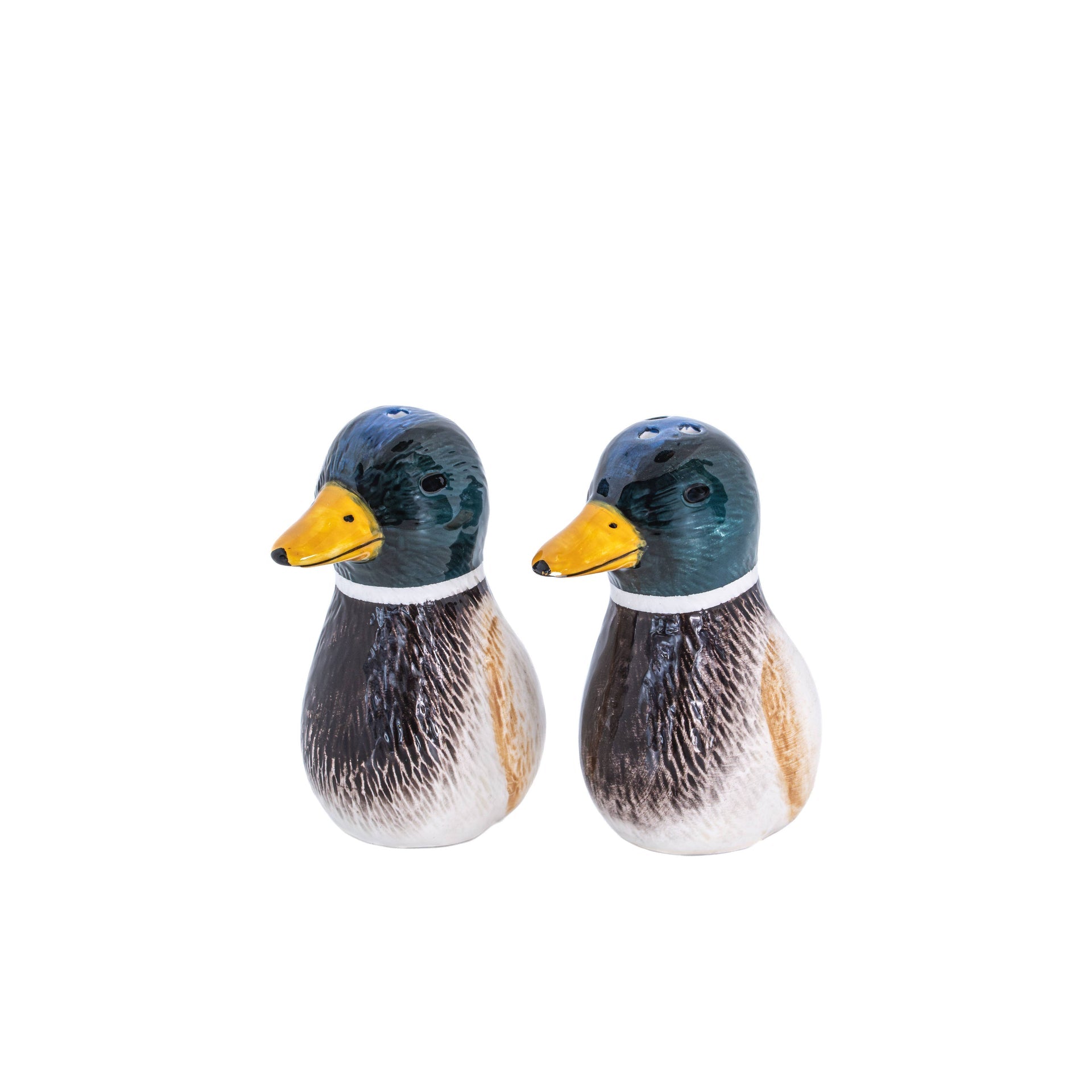 Salt and pepper Mallard duck