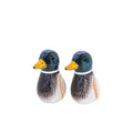 Sel et poivre Canard Colvert