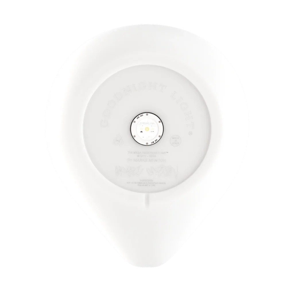 Entenlampe „Die Enten-Enten-Lampe“ (MEGA)