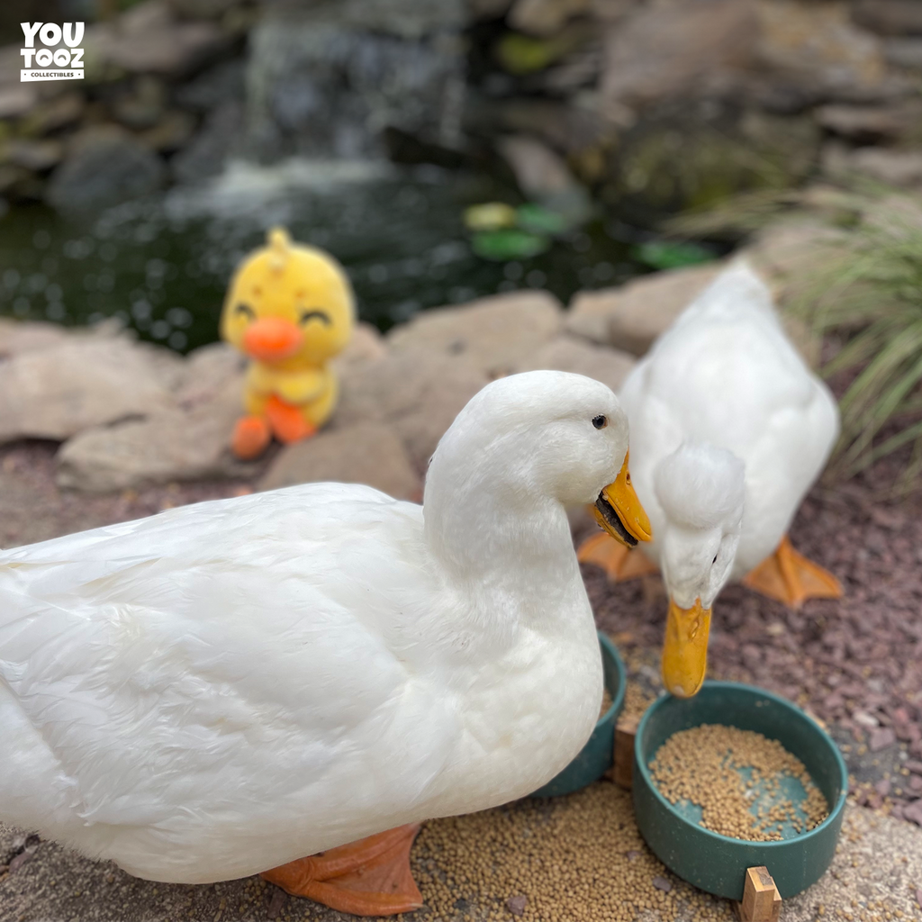 Duck This Plush (9in)