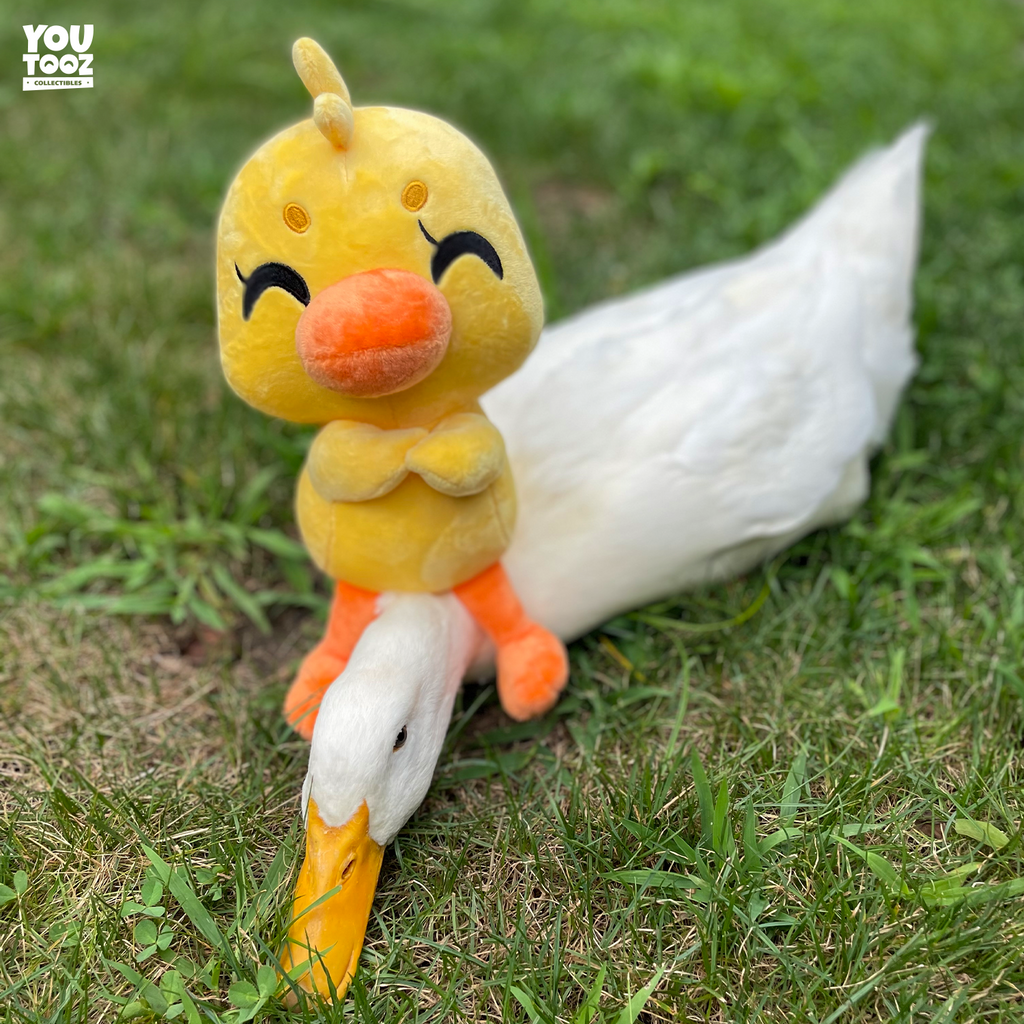Duck This Plush (9in)