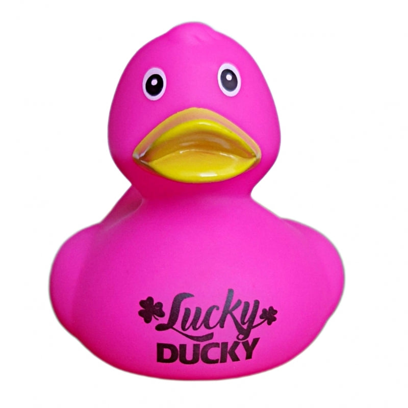 Canard "Lucky DUCKY" - Dutch Ducky - vue 4