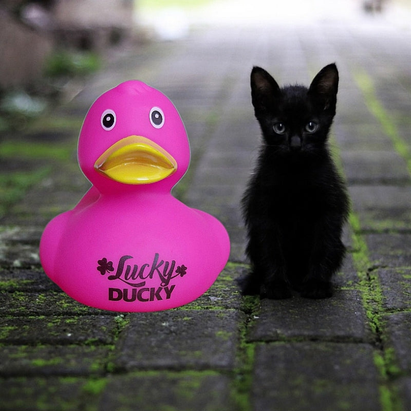 Canard "Lucky DUCKY" - Dutch Ducky - vue 5