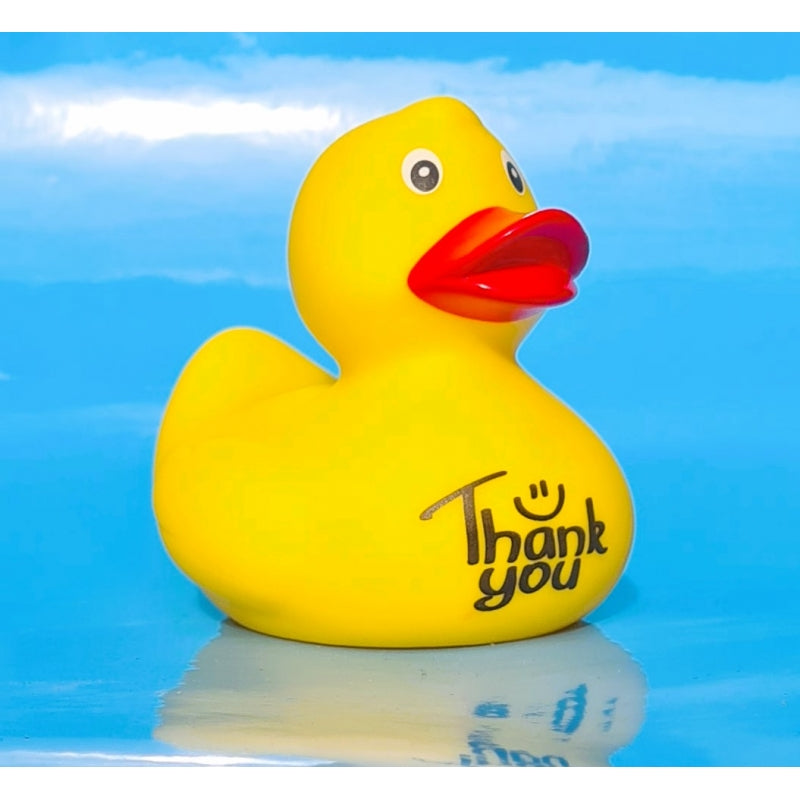 Canard "Thank you" - Dutch Ducky - vue 3