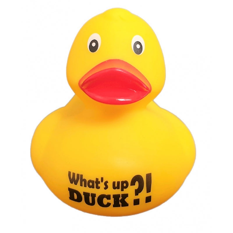 Canard "What's up DUCK ?" - Dutch Ducky - vue 1