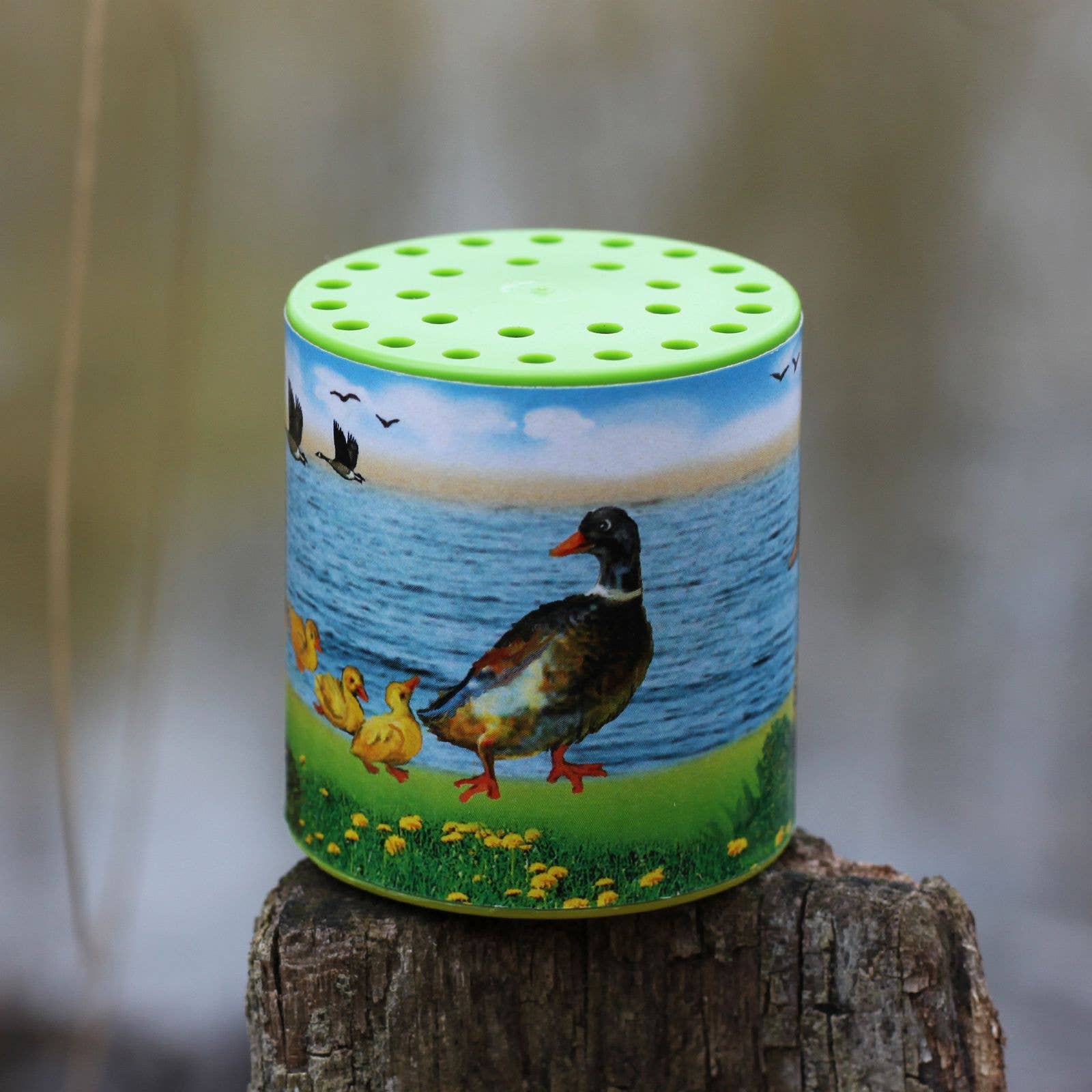 Tierstimmenkasten - Ente
