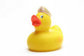 Canard Princesse