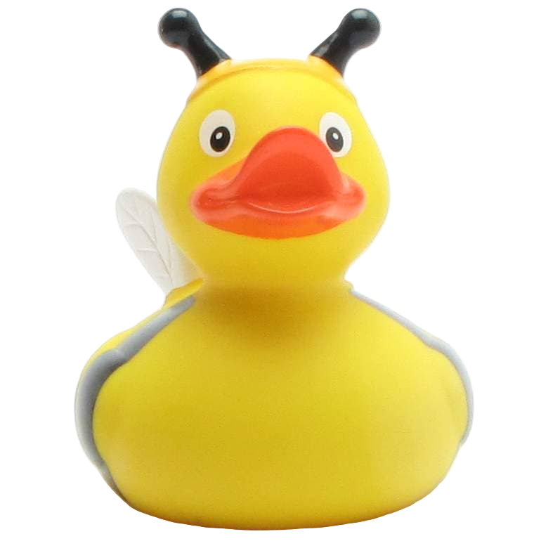 Canard Abeille
