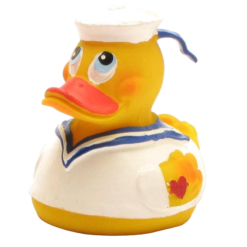 Sea Duck