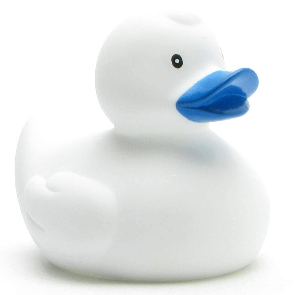 Canard Classique Blanc