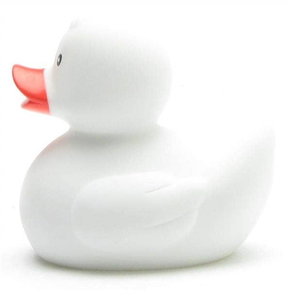 Classic White Duck