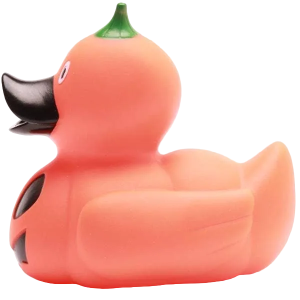 Canard Citrouille d'Halloween