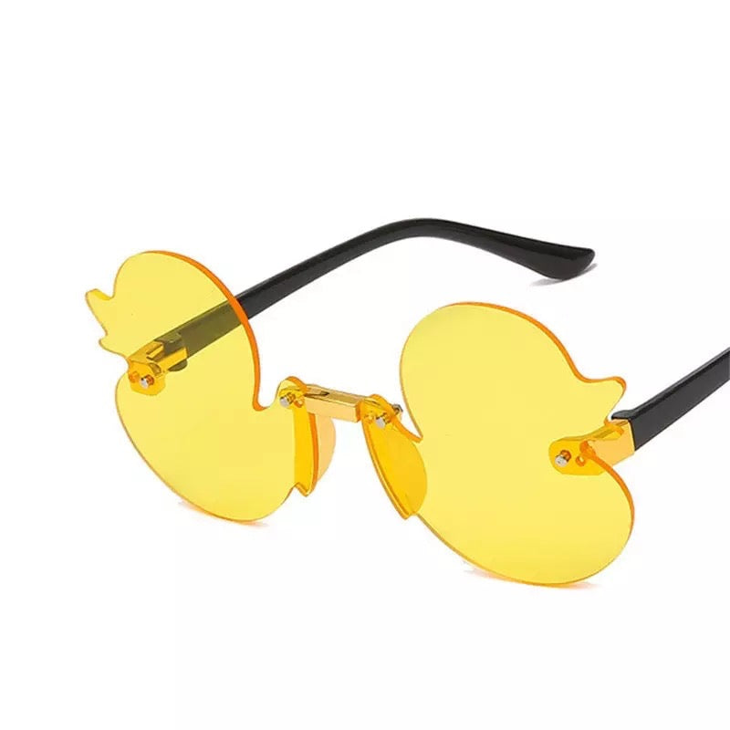 lunettes canard