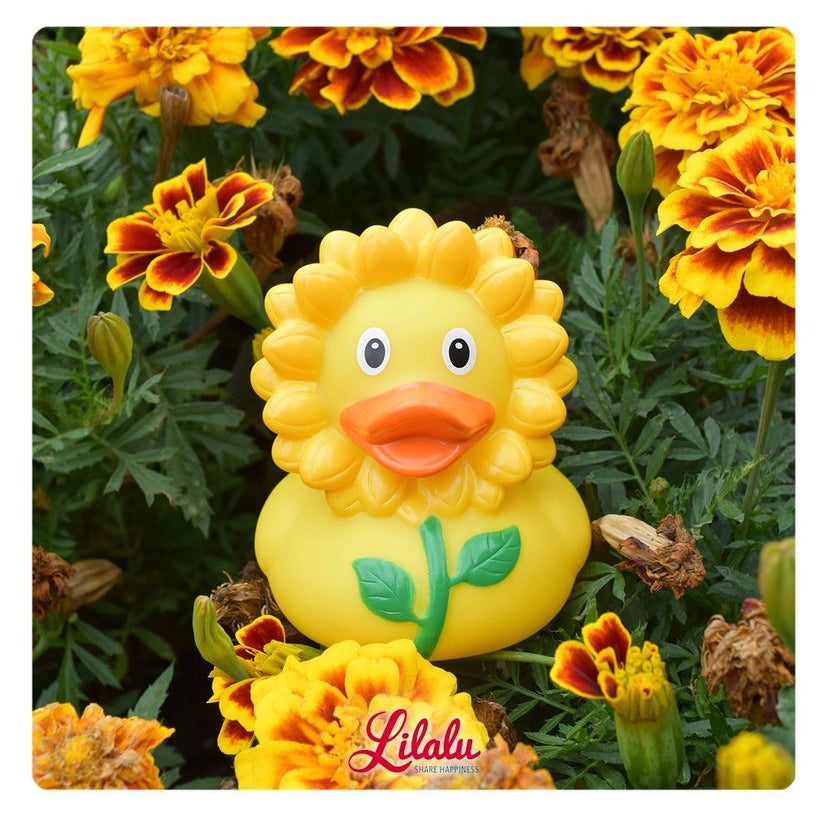 canard-tournesol-lilalu