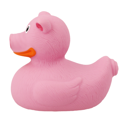 Varkensduck