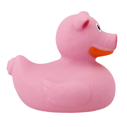 Varkensduck