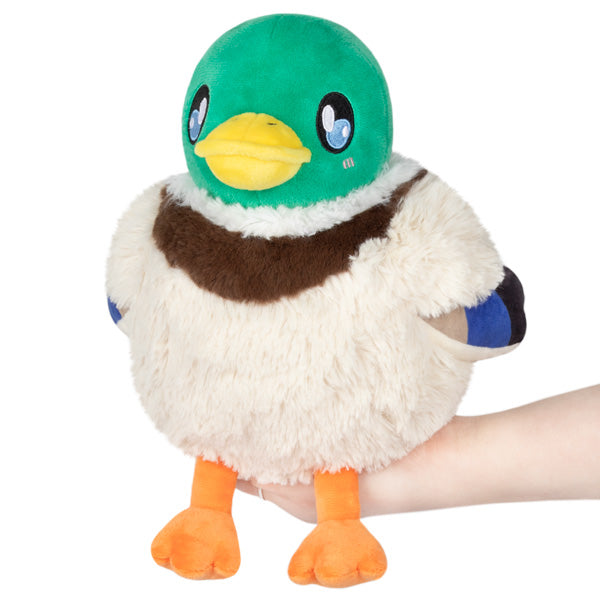 Peluche Mini Squishable – Canard Colvert
