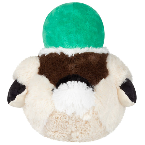 Peluche Mini Squishable – Canard Colvert