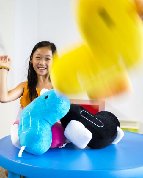 coussin-canard-bleu-canar