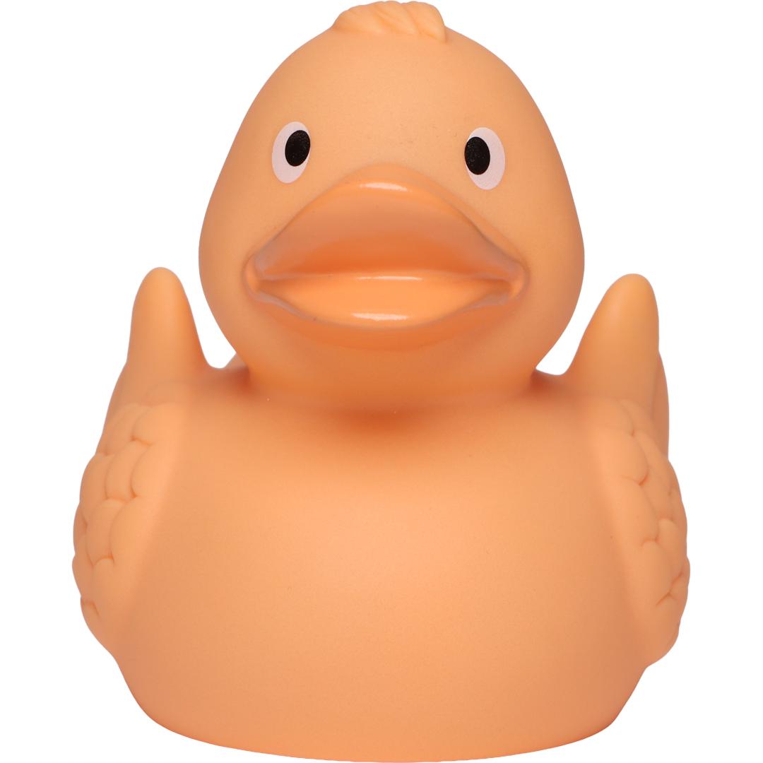 Canard Pastel avec ailes