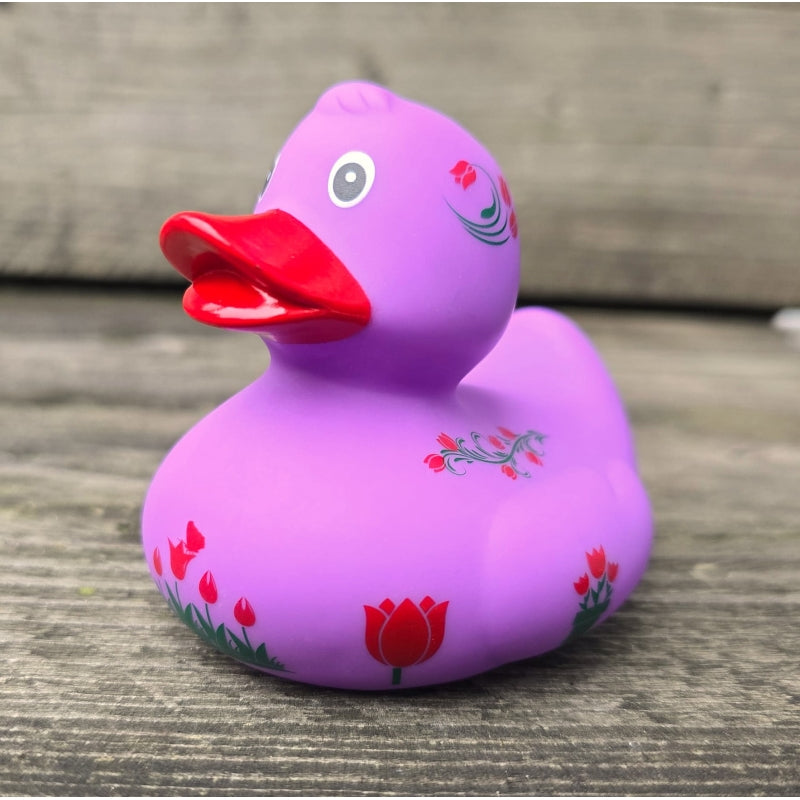 Duck Holland Tulips - Violet