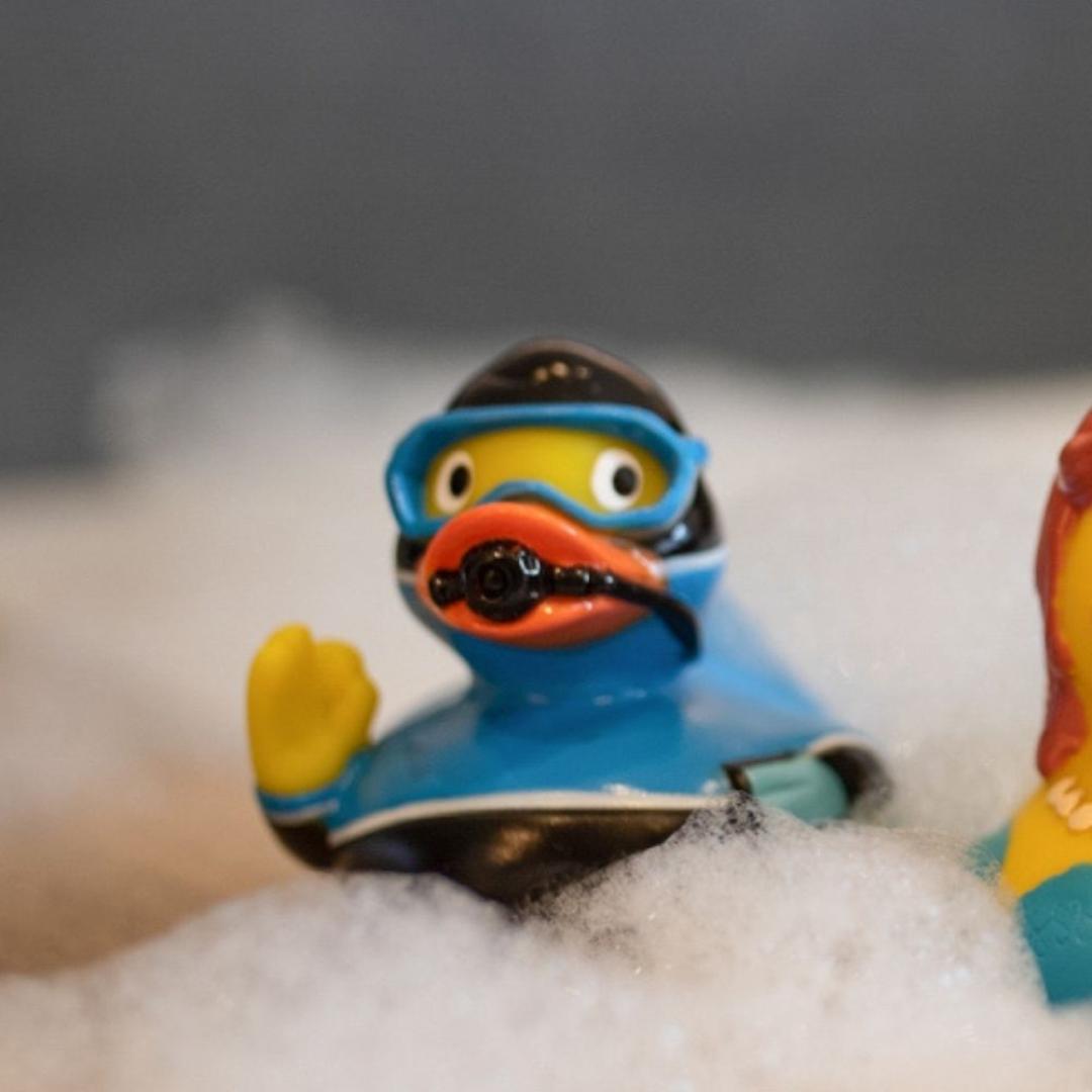 Canard Plongeur