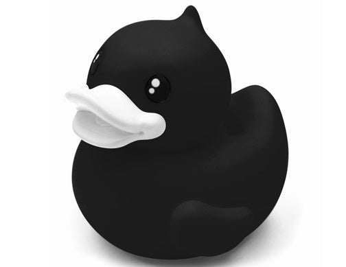 Little black duck piggy bank