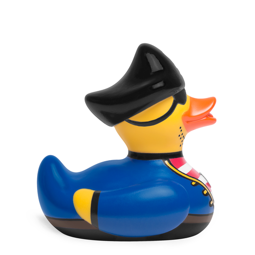 Pirate duck