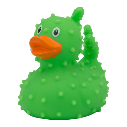 Canard Cactus