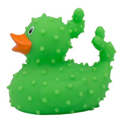 Canard Cactus