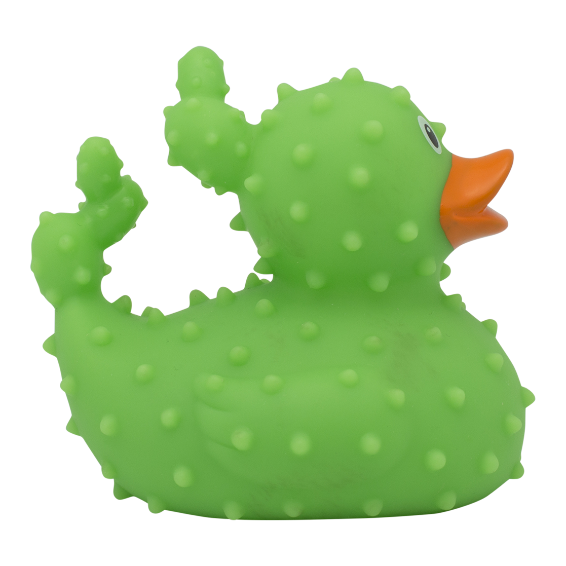 Duck cactus