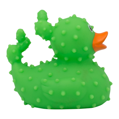 Canard Cactus