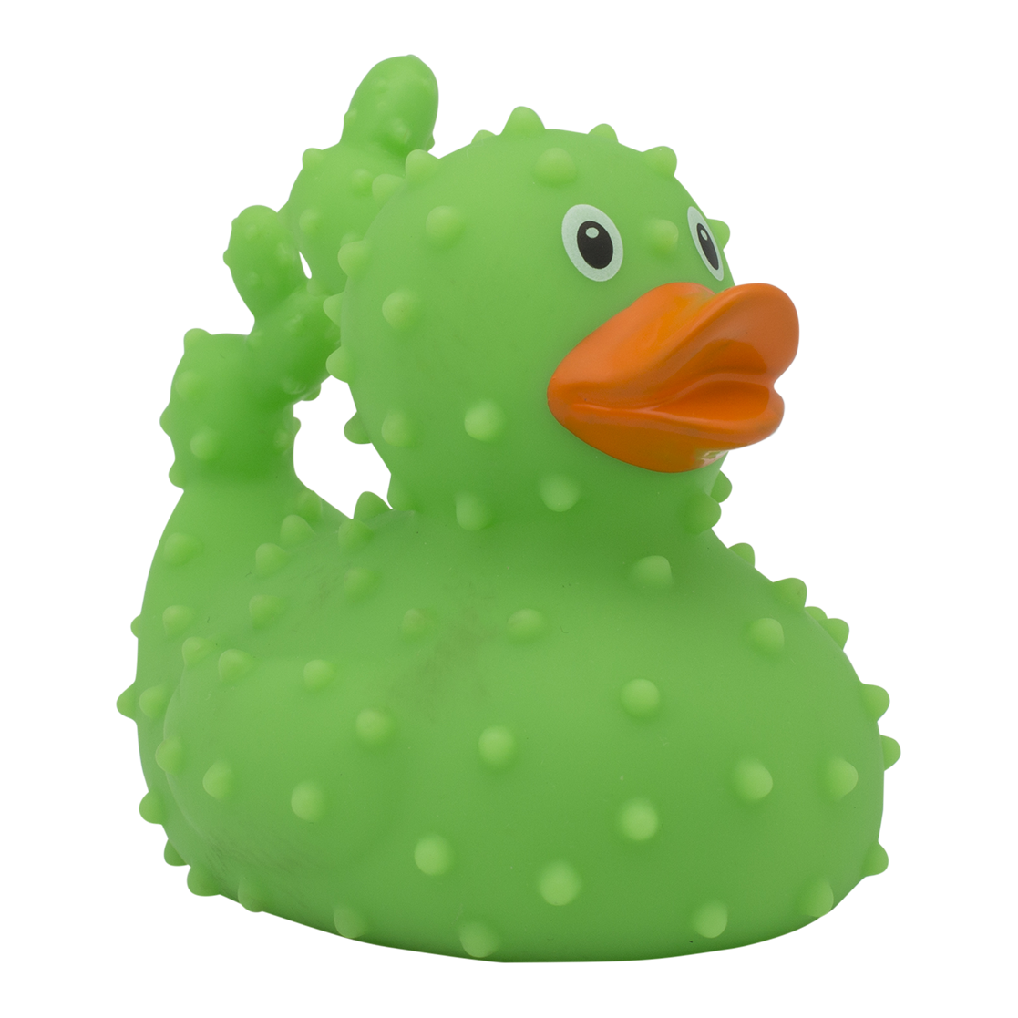 Canard Cactus