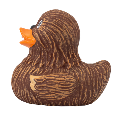 Chewie Duck