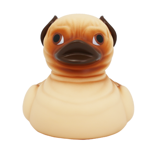 Pug Duck