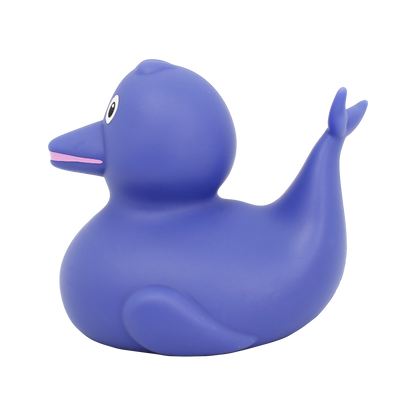 Dolphin Duck