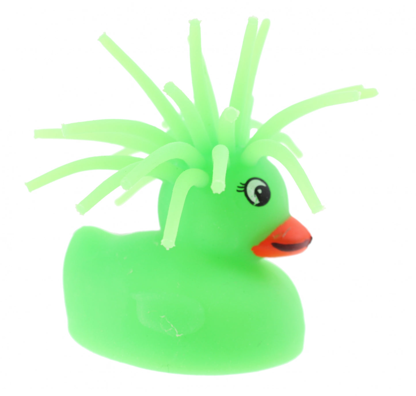 Bright fluffy duck
