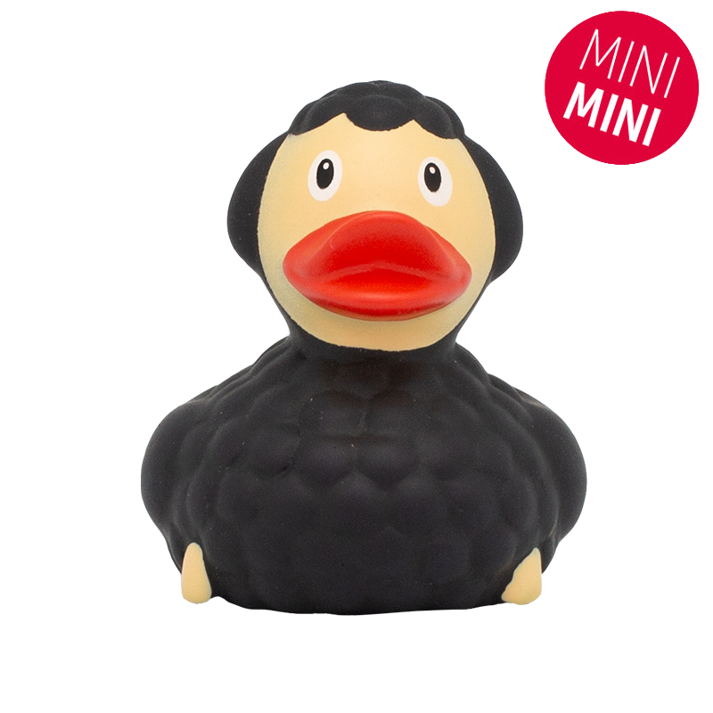 Mini Black Sheck Duck