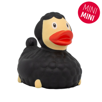 Mini Black Sheck Duck