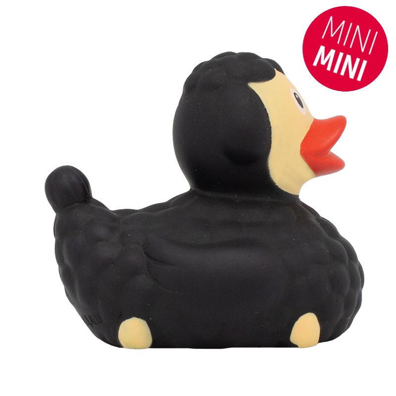 Mini black sheep duck